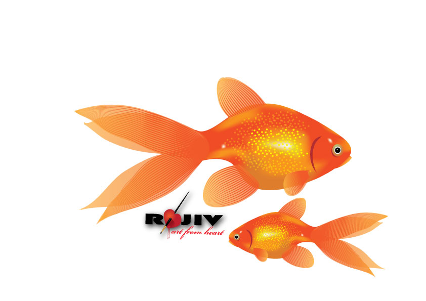 free vector Gold Fish